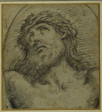 Cabeza y hombros de Cristo crucificado vivo de Guido Reni