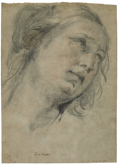 La cabeza de una joven mirando hacia arriba, c.1609 de Guido Reni