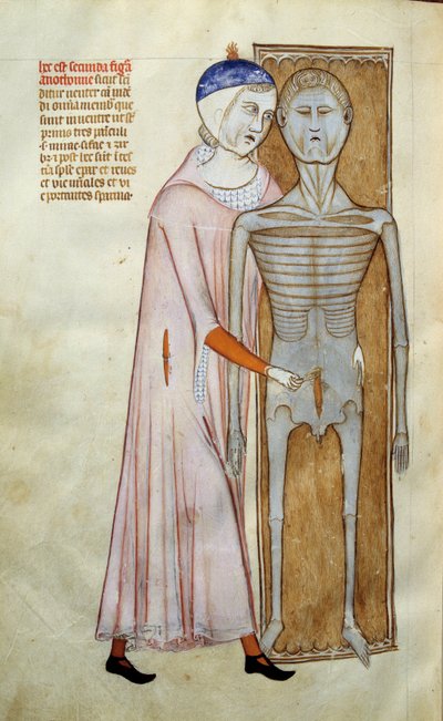 Medicina: tabla de anatomía y cirugía representando una escena de disección - Página extraída del manuscrito "Liber notabilium Philippi septimi francorum regis, a libris Galieni extractus" de Gui de Pavie de Guido da Vigevano da Pavia