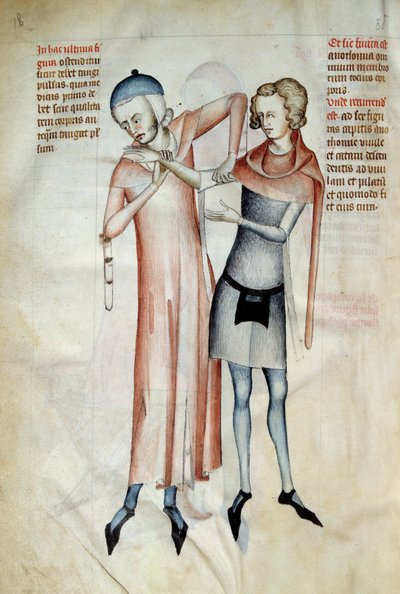 Cirugía: el médico examina las articulaciones de su paciente estirando un brazo (Osteopate). Miniatura en el "Liber notabilium Philippi septimi francorum regis, a libris Galieni extractus" escrito por Gui (Guy) de Pavía de Guido da Vigevano da Pavia