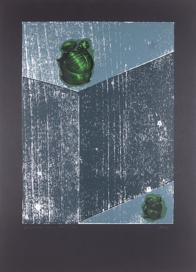 Habitación invisible nº8, El sueño de mi alma, 2019 (xilografía y serigrafía) de Guilherme Pontes