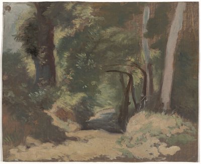 Bosweg de Guillaume Anne van der Brugghen