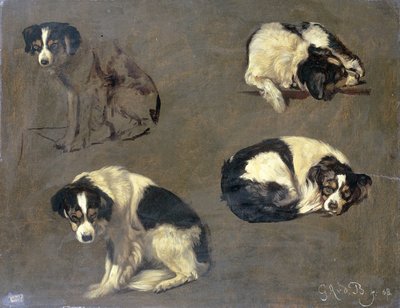 Cuatro estudios de un perro de Guillaume Anne van der Brugghen