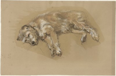 Perro reclinado de Guillaume Anne van der Brugghen
