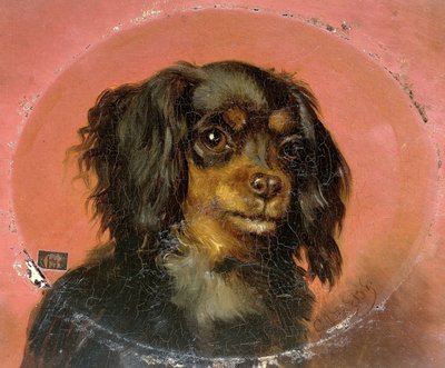 Retrato de un cachorro de Guillaume Anne van der Brugghen