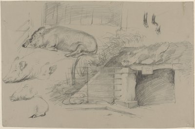 Hoja de croquis con estudios de cerdos en el parque de jabalíes de Artis de Guillaume Anne van der Brugghen