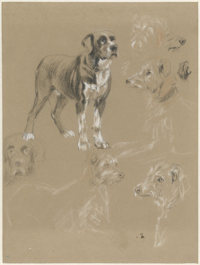 Estudios de un perro de Guillaume Anne van der Brugghen