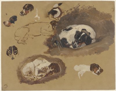 Estudios de un perro de caza de Guillaume Anne van der Brugghen
