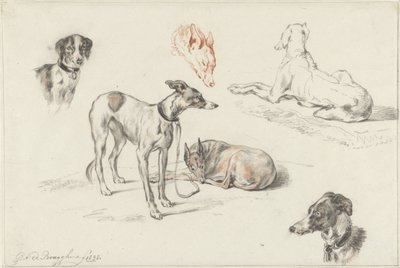 Estudios sobre perros de Guillaume Anne van der Brugghen