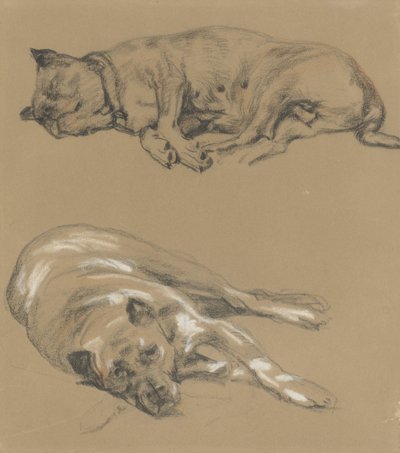 Dos estudios de un perro reclinado de Guillaume Anne van der Brugghen
