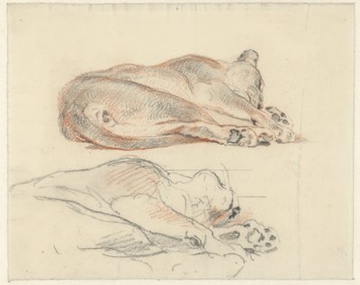 Dos estudios de un tigre reclinado de Guillaume Anne van der Brugghen