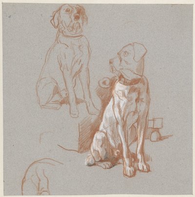 Dos estudios de un perro sentado de Guillaume Anne van der Brugghen