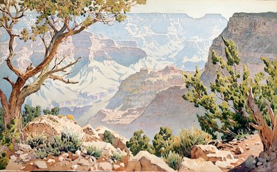 Gran Cañón de Gunnar Widforss