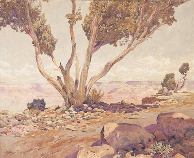 Gran Cañón de Gunnar Widforss