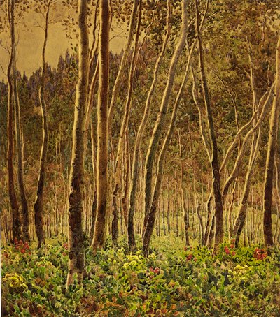 Abedules iluminados por el sol de Gunnar Widforss