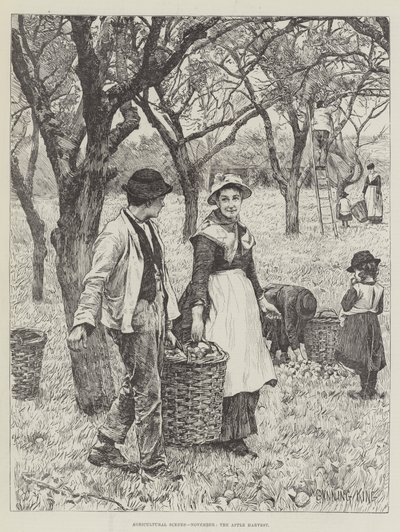 Escenas agrícolas, noviembre, la cosecha de manzanas de Gunning King