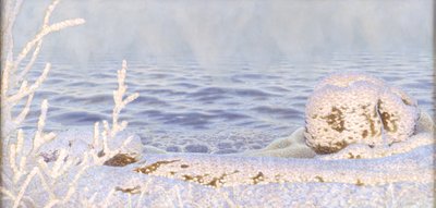 El primer aliento de frío en el agua de Gustaf Fjæstad