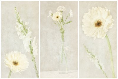 Flores blancas y delicadas de Gustav Davidsson