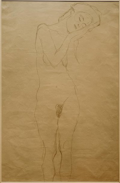 Desnudo femenino de frente, las manos en la mejilla de Gustav Klimt