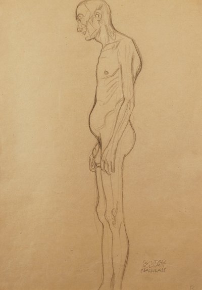 Hombre Desnudo de Gustav Klimt