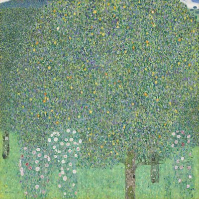 Mujer bailando con capa de Gustav Klimt