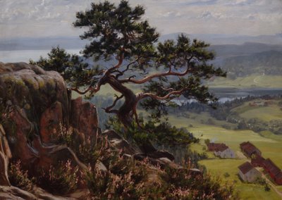 Vistas de Vardåsen de Gustav Wentzel