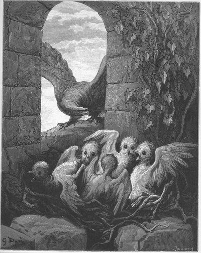 El águila y el búho - de 