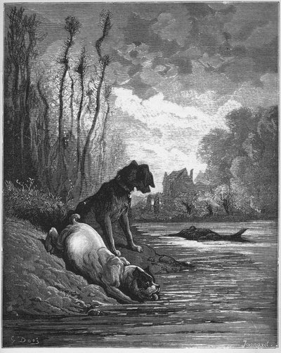 Los dos perros y el burro muerto - de 