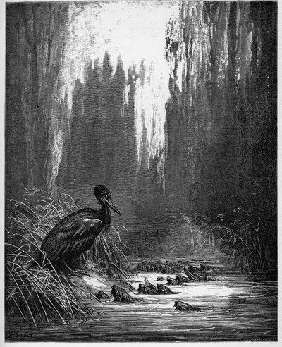 El pez y el cormorán - de 