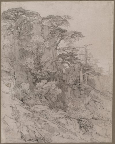 Trees of a Rocky Hillside de Gustave Achille Guillaumet