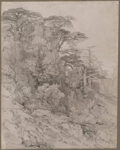 Árboles en una Ladera Rocosa, finales de 1800 de Gustave Achille Guillaumet