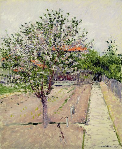 Manzano en flor, c.1885 de Gustave Caillebotte