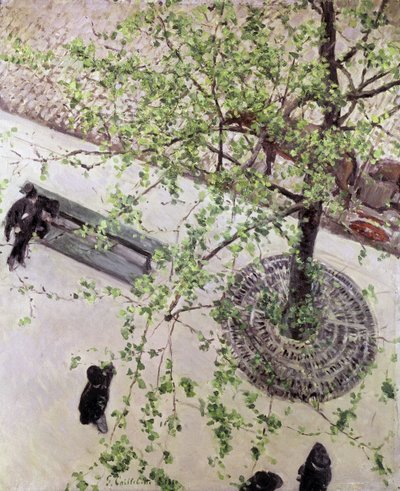 Bulevar visto desde arriba, 1880 de Gustave Caillebotte