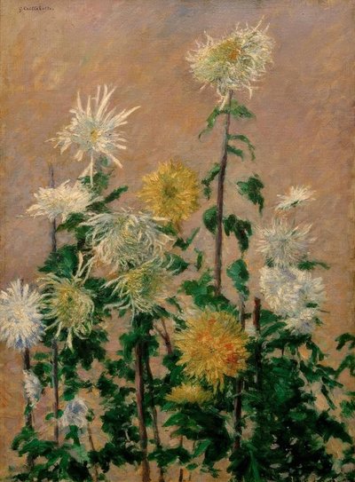 Crisantemos blancos y amarillos de Gustave Caillebotte