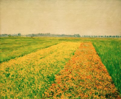La llanura de Gennevilliers, campos amarillos de Gustave Caillebotte