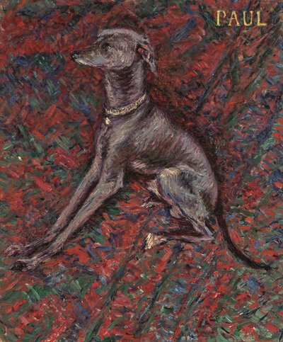 El perro 