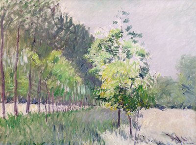 Huerto y avenida de árboles de Gustave Caillebotte