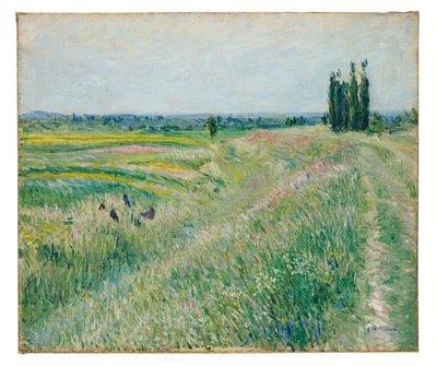 La llanura de Gennevilliers, grupo de álamos, c.1883 (óleo sobre lienzo) de Gustave Caillebotte