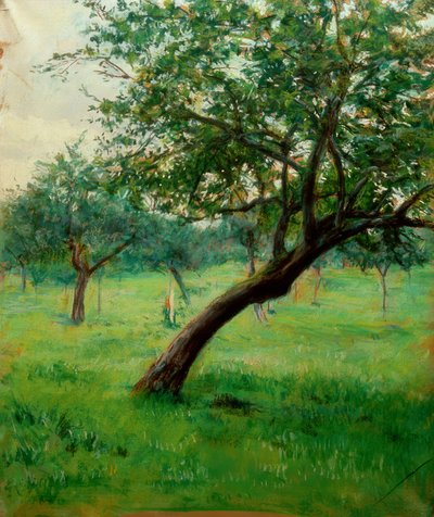 Huerto, también llamado Huerto en Normandía de Gustave Caillebotte