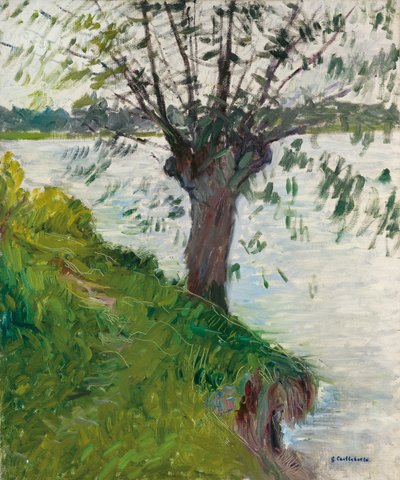 Sauce junto al río; Saule au bord de la rivière, c. 1891 de Gustave Caillebotte