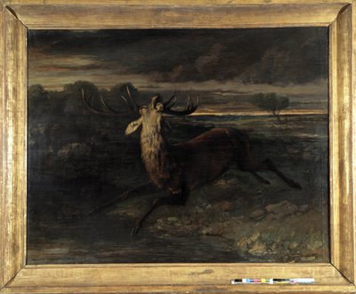 El ciervo tiene agua (caza en carrera) dice la fuerza del ciervo de Gustave Courbet