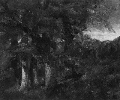 Paisaje boscoso, 1819-77 de Gustave Courbet
