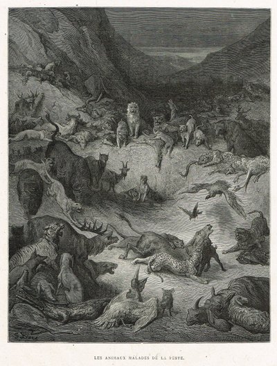 Animales enfermos de peste de Gustave Dore