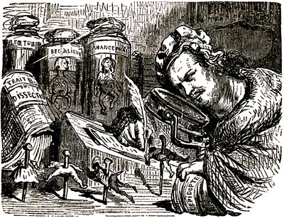 Viñeta de Honore de Balzac (1799-1850) realizada por Gustave Dore (1832-1883) para los Cuentos Drolatiques (1855): el escritor aparece como un entomólogo que estudia a los seres humanos como si fueran insectos en su gabinete repleto de borradores de entomo de Gustave Dore