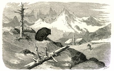 Grabado de Gustave Dore que ilustra el libro "Voyage aux Pyrenees d