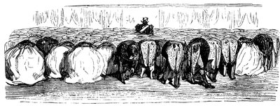 Historia de la Santa Rusia. Un gran baile en el Palacio de Invierno, 1854 de Gustave Dore