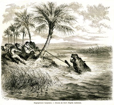 Caza en el río Teoghe, afluente del Ngami. Arpón de hipopótamo. Grabado de Gustave Dore que ilustra "les aventures et chasse du voyageur Charles-Jean Anderson dans l