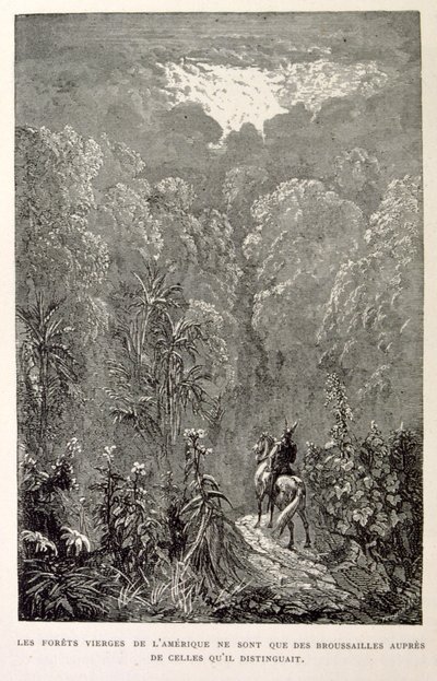 Ilustración de bosque americano. de La legende de Croque-Mitaine. de Gustave Dore