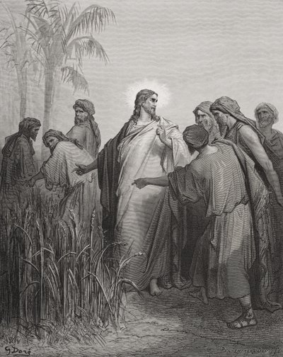 Jesús y sus discípulos en el campo de maíz, ilustración de 