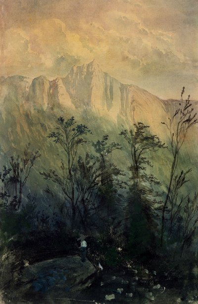 Paisaje en los Vosgos, c.1883 de Gustave Dore